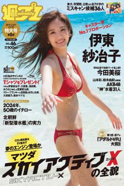 辩护律师